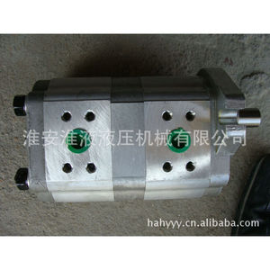 ปั๊มเกียร์คู่รุ่นใหม่ 300/300 พร้อมโมดูลสามตัว - Product Image 2