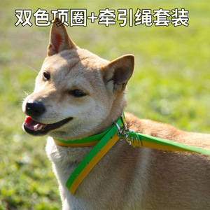 PVC <b>Pet</b> <b>Collar</b> <b>Leash</b> Set Waterproof Fashion Outdoor Dog Walking Accessory Two Tone Color Design - Product Image 4