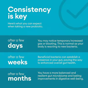 Venta caliente Immune Digestive Support Prebióticos orgánicos digestivos 60 Billion CFU Cápsulas de probióticos para adultos - Product Image 2