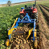 Récolteuse de patates douces anti-emmêlement de la paille, récolteuse de patates adaptée aux tracteurs à 4 roues, et récolteuse de racines et de tiges d'arachides