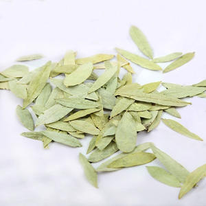 بالجملة بالجملة عالية الجودة المجففة طبيعيًا أوراق سينا للشاي الأعشاب المجففة مروحة Xie Ye Folium Sennae Leaf - Product Image 2