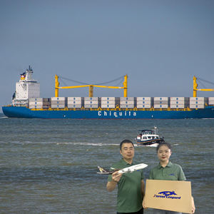 من الباب إلى الباب Fba وكيل شحن جوي أسعار وكيل الشحن Ddp من الصين إلى الولايات المتحدة الأمريكية الولايات المتحدة الأمريكية سفينة LCL - Product Image 2