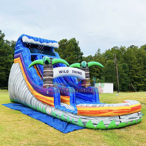 Outdoor backyard party bouncy castle <b>inflatable</b> wild thing water slide commercial for kids - Product Image 1