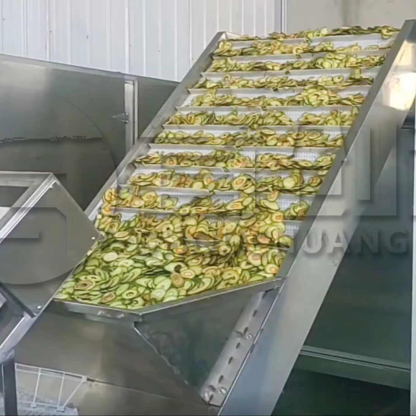 Máquina de secagem de frutas e vegetais de economia de energia para chips de abacate seco