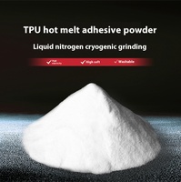 Polvo Adhesivo Termofusible DTF TPU Sensible a la Presión, Alta Elasticidad, Lavable, Gran Stock para Serigrafía con Tinta Blanca