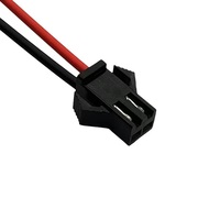 JST SM 2-Pin 3-Pin 4-Pin 2.54mm Pitch Plug pria dan wanita konektor adaptor dengan 100mm kawat kabel listrik untuk lampu LED