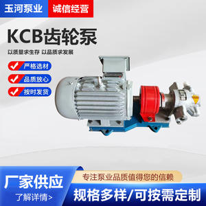 ปั๊มเกียร์ KCB แบบไหลสูง ปั๊มโรเตอร์สแตนเลสและเหล็กกล้าคาร์บอน ปั๊มน้ำมันพืชไฟฟ้าสำหรับใช้งานทางทะเล - Product Image 5