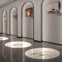 Projecteur d'intérieur LED de petite puissance Lumières publicitaires Corps de lampe en alliage d'aluminium monté au plafond pour la décoration intérieure Utilisation commerciale