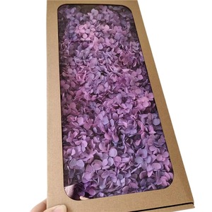 Flores de Hortensia Anna Preservadas de Grado AB con Tacto Natural en Caja para Decoraciones Hechas a Mano para Navidad y Bodas - Product Image 1
