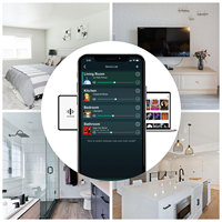 Solution d'amplificateur nouveau design A50 + mini classe d de luxe système stéréo pour maison intelligente amplificateur de puissance sans fil