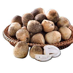 Nuevo - Champiñones Congelados Estilo Paja ISO Frescos al Mejor Precio // Sra. Reina//2026 - Product Image 1