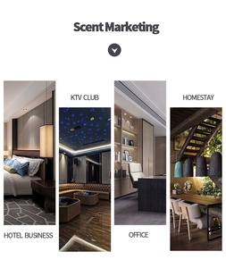 Tốt Nhất Bán Lâu Dài Thơm Các Loại Dầu 500Ml Hương Thơm Dầu Giá Tốt Nhất Khuếch Tán Tinh Dầu 200 + Hương Thơm Các Loại - Product Image 5