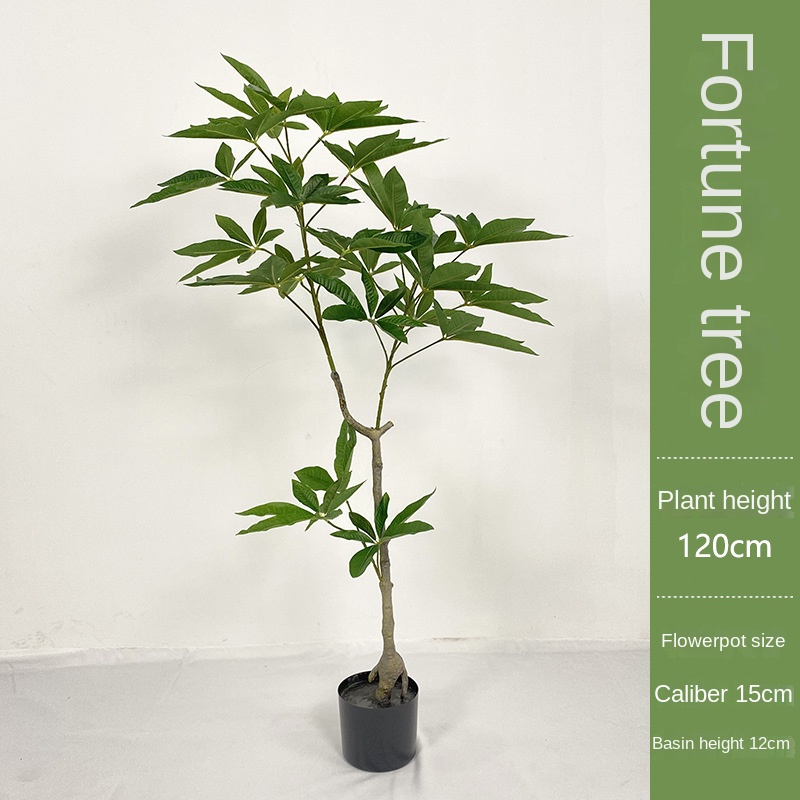 Planta de dinero verde de 120 cm con 144 hojas.