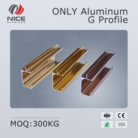 Profil en alliage G 6063 T5, longueur personnalisée OEM, anodisé, durable, pour décorations