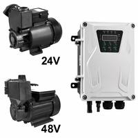 Pompe à eau auto-amorçante solaire DC 24V 48V avec contrôleur MPPT pour l'irrigation agricole