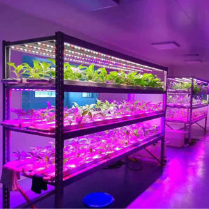 Tube LED de culture <span class=keywords><strong>pour</strong></span> plantes verticales d'intérieur, spectre complet 10w 20w 32w, T8 <span class=keywords><strong>T5</strong></span> 4ft, avec indice d'étanchéité IP65 - Product Image 4