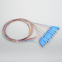 Factory Direct Price 12-Core 0.9mm SC/UPC/APC Single Mode Fibre Bundle Pigtail 1M Available Fibre Optic Patch Cord