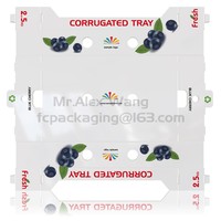 Boîte d'emballage personnalisée en carton ondulé pour myrtille, sacs en papier pliants en carton de fruits frais