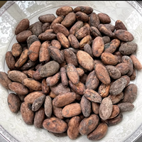 G30185 Mélangeur de chocolat premium 10 lb, moulin à fèves de cacao pour barres chocolatées 8 lb