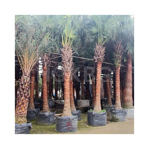 HOKBG jardinage Non tissé semis sacs <span class=keywords><strong>de</strong></span> culture semis pépinière planteur <span class=keywords><strong>sac</strong></span> tissu Pots feutre arbre pomme <span class=keywords><strong>de</strong></span> terre plante sacs <span class=keywords><strong>de</strong></span> culture - Product Image 1