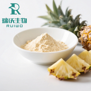 Poudre d'extrait de jus d'ananas de haute qualité, poudre de fruit d'ananas <span class=keywords><strong>pour</strong></span> boissons et gâteaux - Product Image 6