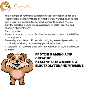 Жевательные таблетки Lucpets для пожилых собак: поддержка иммунитета, быстрое усвоение, высокобелковая формула, пробиотики и витамины для улучшения здоровья - Product Image 3