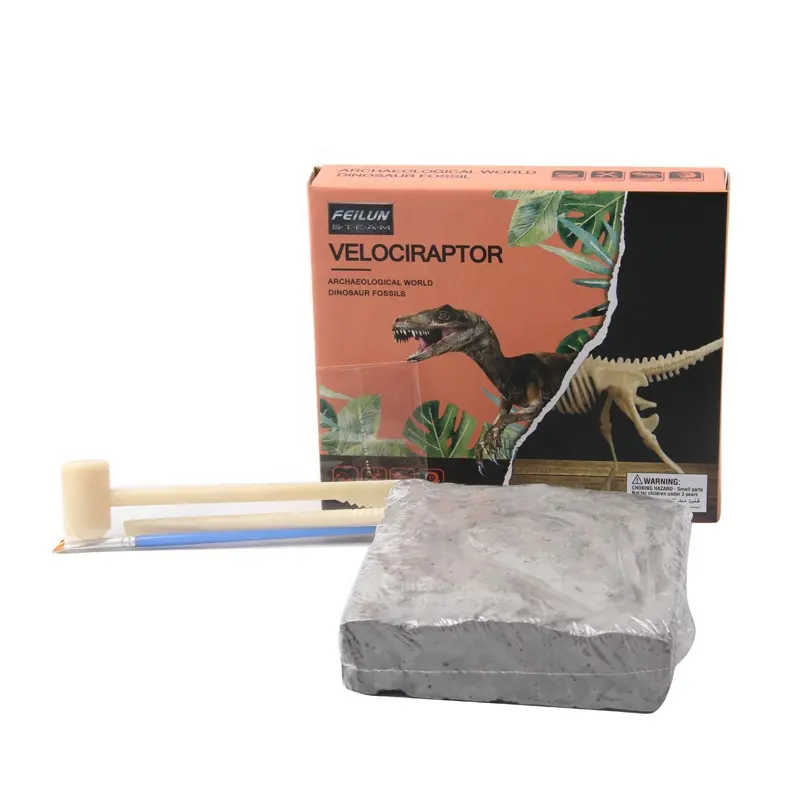 Pelle mystère pour enfants, Kit de dinosaures, jouet d'apprentissage scientifique, activités d'apprentissage