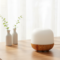 Diffuseurs d'huiles essentielles 250 ml, diffuseur d'aromathérapie et humidificateur d'air