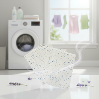 Feuilles de lessive ultra-concentrées à triple enzyme OEM, marque privée