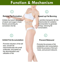 Ausreson L-carnitine biologique, extrait de feuilles de thé vert, capsules dures 1000mg, soutien à la perte de poids, Moringa, probiotiques, capsules de thé vert