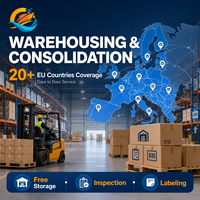 Spedizioniere DDP Multi-Paese Cina-Europa, Agente Logistico per Trasporto Aereo, Marittimo e Ferroviario, Servizio di Magazzinaggio e Consolidamento