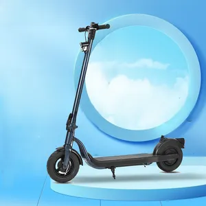 Nhà Cung Cấp Vàng Patinete Electrico Scooter Động Cơ Điện Người Lớn 36V 10 Inch Lốp 350W Điện Xe Tay Ga