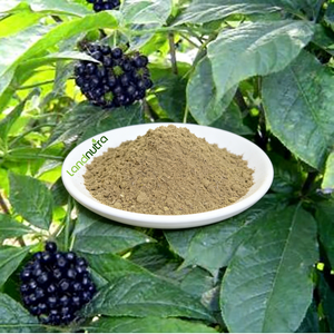 Натуральный экстракт элеутерокока синтетического в порошке - Элеутерозиды B+E ≥<span class=keywords><strong>1.0</strong></span>% Порошок сибирского женьшеня - Product Image 1