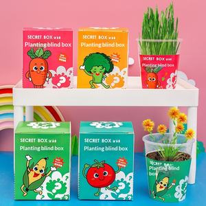 Boîte mystère <span class=keywords><strong>de</strong></span> plantes en pot en plastique pour enfants <span class=keywords><strong>de</strong></span> <span class=keywords><strong>maternelle</strong></span>, graines <span class=keywords><strong>de</strong></span> fleurs – Petit cadeau créatif pour les 7-12 ans, <span class=keywords><strong>décoration</strong></span> <span class=keywords><strong>de</strong></span> bureau - Product Image 4