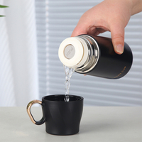 Gourde isotherme compacte et portable en acier inoxydable 304 pour l'extérieur, avec couvercle, tasse à thé, bouilloire portable