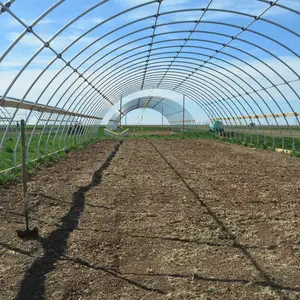 2024 fabrik anbau tomaten tunnel gewächshaus kunststofffolie uv-beständig