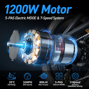 20Inch 1000W 48V Xe Đạp Điện Sẵn Sàng Cổ Phiếu Ebike Leo Núi Điện Leo Núi Fatbike Vtt Electrique Lai Xe Đạp - Product Image 4