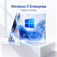 Sistem Operasi Windows 11 Enterprise Edition untuk Organisasi Besar, Jaringan Bisnis, Komputer Tersedia, Dilengkapi Internet