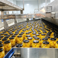 ENAK Hoogwaardige Conserven Fruit Groente Vis Bonen Tomaat Gele Perzik Machineproductielijn