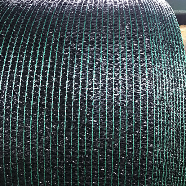 black green