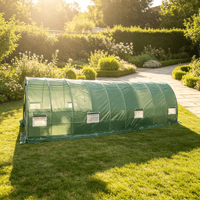 Serre tunnel 10x30 pieds : structure en acier galvanisé et couverture en PE, abri de jardin robuste pour plantes