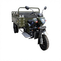Tricycle à essence motorisé OEM 200cc, tricycle de transport lourd, tricycle à essence grande capacité, moto tricycle double