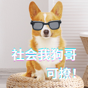 Lunettes de soleil réglables pour animaux de compagnie, lunettes UV400 en plastique pour chiens et chats, accessoires fantaisie pour animaux de compagnie, toutes saisons - Product Image 4