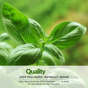 Kit jardinier débutant voûte à légumes 20 paquets kit <span class=keywords><strong>de</strong></span> légumes pour le jardinage - Product Image 4