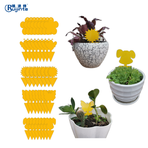 Hot bán Vàng côn trùng dính bẫy thực vật kiểm soát dịch hại sản phẩm cho trái cây bay và Gnat - Product Image 4