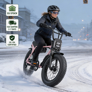 ZUMI EU WAREHOUSE EN STOCK Vélo électrique V8 <span class=keywords><strong>Cafe</strong></span> <span class=keywords><strong>Racer</strong></span> avec moteur 48V 250W et batterie 13Ah avec pneus larges pour une conduite urbaine décontractée - Product Image 1