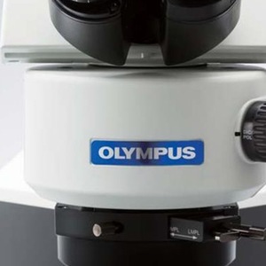 Microscopio trinocular Olympus BX53M para laboratorios biológicos e instituciones de investigación - Product Image 4