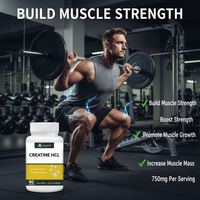 Capsules de créatine HCL OEM à absorption élevée, sans troubles gastro-intestinaux, complément nutritionnel sportif pour le soutien de la force, vente en gros