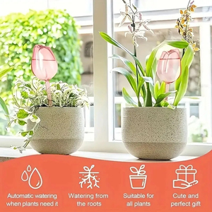 Bolas de Riego Automáticas para Plantas de Jardín, Aptas para Plantas de Interior y Exterior - Product Image 4