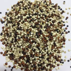 Pasokan Massal Merah Putih Hitam Quinoa Hull Menghapus Mesin Gabungan Tricolor Quinoa Separator